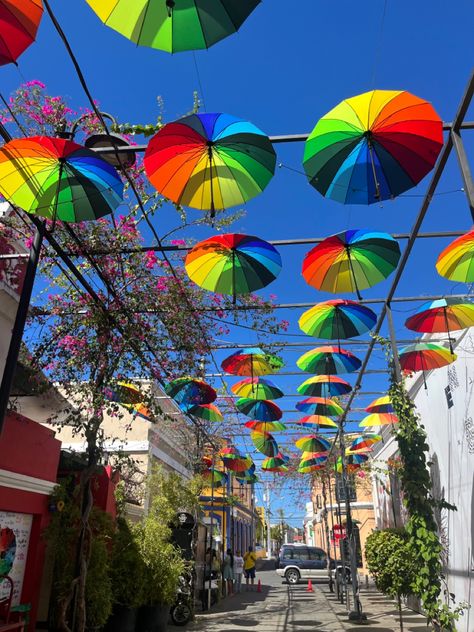 Umbrella Street, Anniversary Trips, Dominican Republic, Beautiful Destinations, Umbrella, Collage, Travel, Pins, Quick Saves