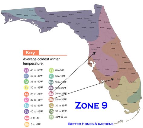 Florida Zone Florida Cities, Homestead Florida, Florida Flowers, Florida Native Plants, Florida Landscaping, Florida Plants, Florida Gardening, Gardening Zones, Zone 9