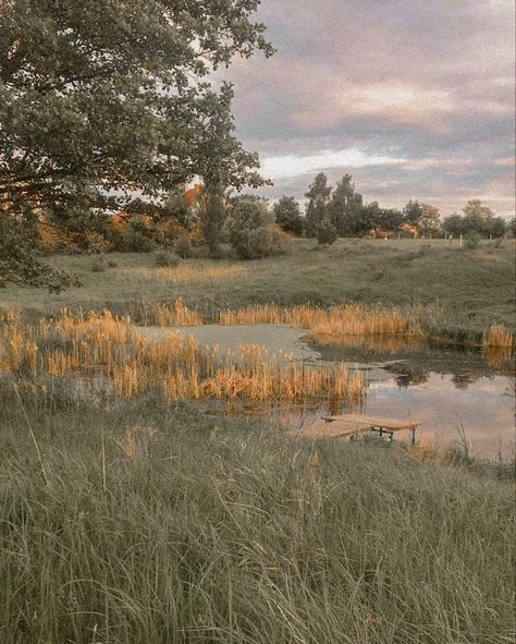 Prairie Photography, Taylor Adams, Prairie Aesthetic, Green Landscapes, City Nature, Photoshop Textures, Space City, Green Landscape, Green Space