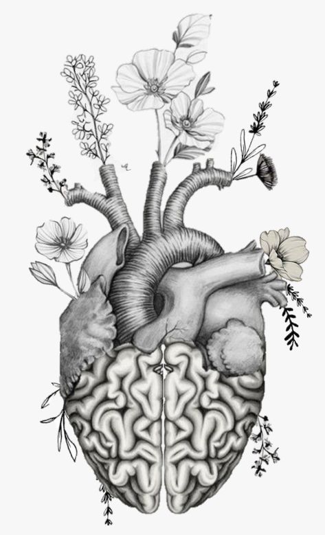 Anatomy And Nature Tattoo, Head And Heart Balance Tattoo, Realism Heart Tattoo, Anatomy Tattoo Sleeve, Half Heart Half Brain Tattoo, Brain And Heart Drawing, Anatomy Drawing Medical Art, Heart Tattoo Drawing, Brain And Heart Tattoo