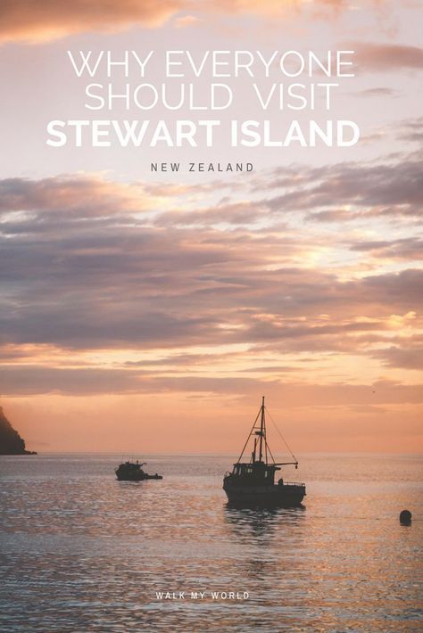 Stewart Island, New Zealand Beach, New Zealand Itinerary, Fellow Travelers, Visit New Zealand, Tasmania Australia, Oceania Travel, Essense Of Australia, Visit Australia