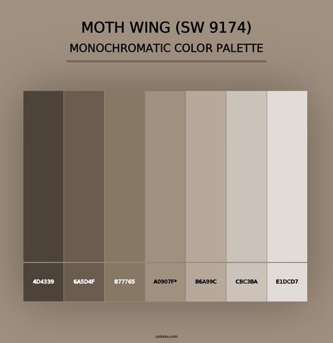 Moth Wing (SW 9174) - Monochromatic Color Palette Moth Wing Paint Color, Sw Moth Wing Paint, Sherwin Williams Moth Wing, Moth Wing Sherwin Williams, Sw Dovetail, Draw A Hexagon, Pantone Color Guide, Sherwin Williams Green, Color Generator