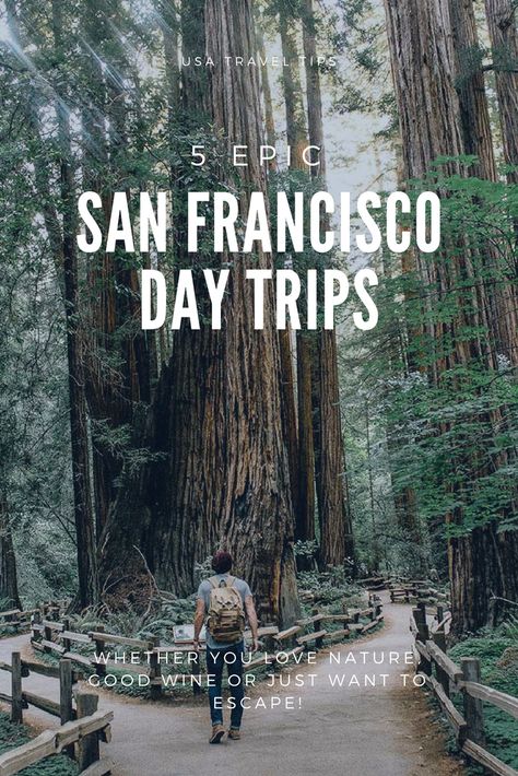 San Francisco Tours, California Road Trip, Couples Ideas, Weekend Humor, Usa Travel Guide, San Francisco Travel, California Travel Road Trips, Fun Day, North America Travel