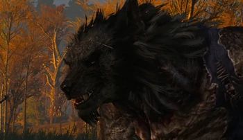 Berem | Witcher Wiki | Fandom Witcher Werewolf, Witcher Medallion, Wolf Artwork, Werewolf Art, The Witcher 3, Take Back, Special Effects, The Witcher, Brown Hair Colors