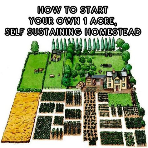 How To Start Your Own 1-Acre, Self-Sustaining Homestead | Farm layout, Farm plans, Backyard farming Close Line Ideas, Self Sustaining Garden, Hobby Farms Layout, Farming For Beginners, Farm Landscaping, Homestead Layout, Raised Bed Gardening, Self Sustaining, Acre Homestead