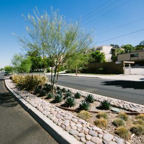 Public Spaces - Road Urban Beautification, Streetscape Design, Hotel Landscape, Landscape Design Ideas, Road Markings, Drought Tolerant Landscape, Commercial Landscaping, Urban Forest, Landscape Designs