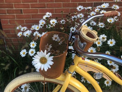 Aesthetic Bike, Yellow Aesthetic Pastel, Bike Aesthetic, Aesthetic Flowers, Spring Aesthetic, Yellow Aesthetic, Mellow Yellow, Wall Collage, Yellow Color