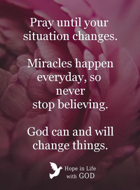 God Does Miracles Quotes, Praying For Miracles, God Never Changes, Miracles Happen Everyday, Praying For A Miracle, Never Stop Believing, Miracle Quotes, Inspirational Quotes Encouragement, Keeping The Faith