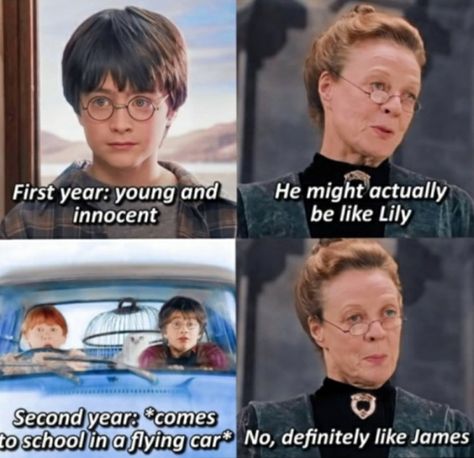 Harry Potter Funny Pictures, Harry Potter Pics, Harry Potter Quotes Funny, Harry Potter Voldemort, Harry Potter Parody, Funny Harry Potter Jokes, Harry Potter Memes Hilarious, Cute Harry Potter, Harry Potter Puns