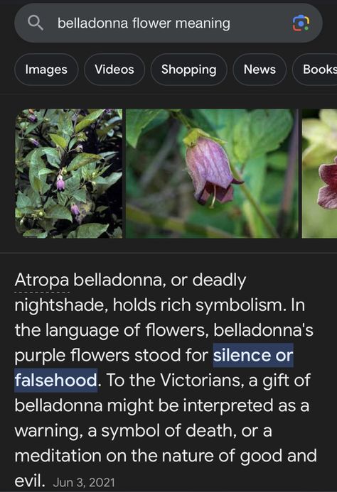 Hellborne Flower, Bella Donna Flower, Wolfsbane Flower, Dreamcore Character, Poisonous Herbs, Deadly Flowers, Belladonna Flower, Nightshade Flower, Nightshade Plant