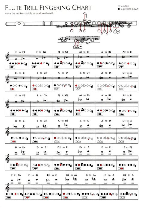 Flute Fingering Chart, Flute Lessons, Reading Sheet Music, Marching Band Humor, Band Jokes, Flute Player, Flute Sheet Music, Band Director, Music Nerd