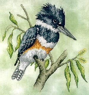 Kingfisher Illustration, Kingfisher Painting, Kingfisher Art, Belted Kingfisher, Bird Cross Stitch, Embroidered Birds, Cross Stitch Birds, Kingfisher Bird, Linen Stitch