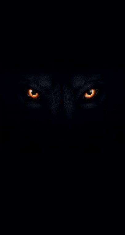 Free download wolf animal black backgrounds iphone wallpapers Car Pictures [744x1392] for your Desktop, Mobile & Tablet | Explore 70+ Black Wolf Wallpaper | Wolf Wallpaper Hd, Wolf Wallpaper Desktop, Cool Black Wolf Wallpaper Wallpaper Wolf, Wallpaper Car, Black Hd Wallpaper, Black Hd, Wolf Animal, Wolf Wallpaper, Black Wolf, The Beast, Car Pictures