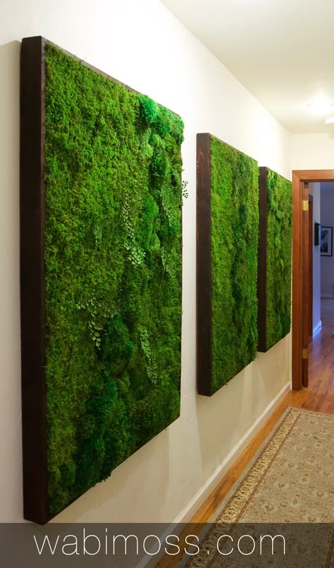 Moss Wall Artwork for Interior Designers - WabiMoss Mos Wand, Moss Growing, Building A Pergola, Moss Covered, Moss Wall Art, Walled Garden, Moss Art, Preserved Moss, Indoor Gardens