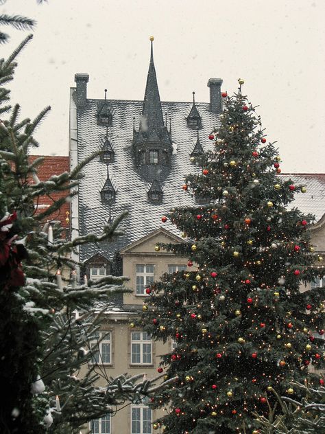 Christmas Market, Leipzig         Flickr sharing  Winninator Christmas Time Is Here, Christmas Feeling, Winter Wonder, Merry Little Christmas, Winter Aesthetic, Christmas Aesthetic, Christmas Market, Cozy Christmas, Christmas Inspiration