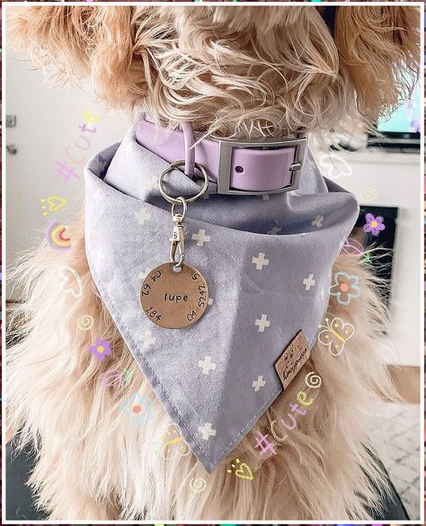 Dog Accessories - With new amazing products releasing everyday, visit to discover what you have been searching for. DO IT IMMEDIATELY! Cute Dog Accessories, Girl Dog Accessories, Small Dog Accessories, Dog Marketing, Socializing Dogs, Colorful Hairstyles, Dog Accesories, Dog Behaviorist, Dog Business