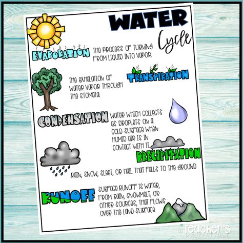 How to Teach the Water Cycle to 5th Graders - A Teacher's Wonderland Water Cycle Chart, Water Cycle Anchor Chart, Water Cycle Craft, Water Cycle Model, Water Cycle Project, Water Cycle Activities, Water Cycle Worksheet, The Water Cycle, Elementary Classroom Decor