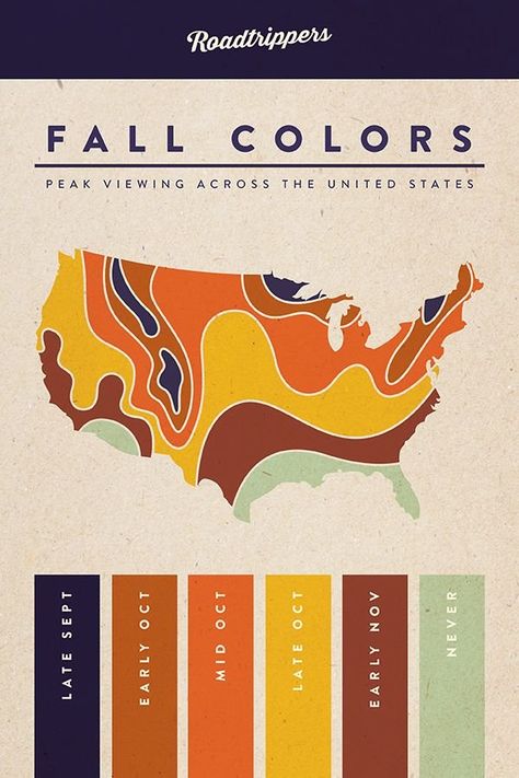 Mapping Fall's Advance - Big Think Leaf Peeping, Autumn Drives, On The Road Again, To Infinity And Beyond, Back To Nature, Oh The Places Youll Go, Fall Foliage, Happy Fall, Fall Fun