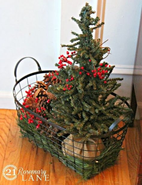 Christmas Tree In A Basket, Small Christmas Tree, Country Christmas Decorations, Wire Basket, Metal Tree, Christmas Porch, Christmas Decorations Rustic, Primitive Christmas, Farmhouse Christmas Decor