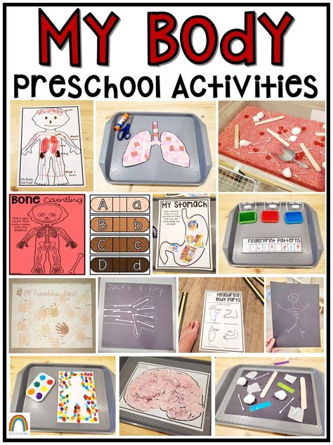 How My Body Works Preschool Theme, Taking Care Of My Body Preschool Activities, Human Body Crafts For Preschoolers, Preschool Body Parts Activities, My Body Preschool Activities, Body Preschool Activities, My Body Preschool, Human Body Crafts, Body Parts Preschool Activities