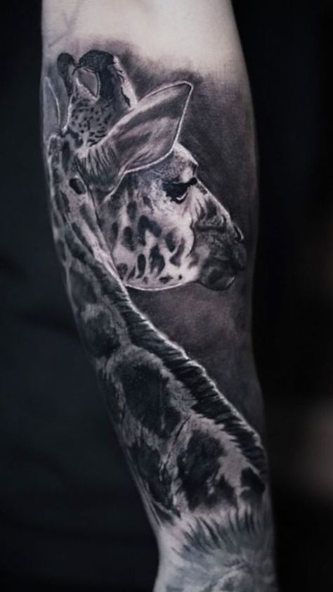 African Animal Tattoo, African Animals, Animal Tattoos, Skull Tattoo, Mammals, Savannah Chat, Body Art, Tattoo Ideas, Tattoos