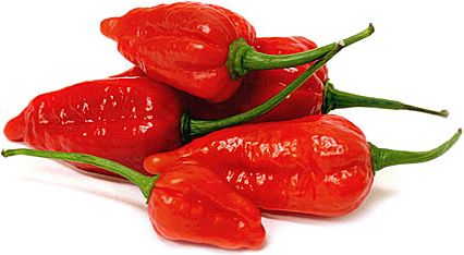 Ghost chiles, like several "hot" chile varieties disguise their heat inconspicuously in a small pod. The chile pod is grooved, slightly curved and comes to a point. They are harvested and sold in their orange to red stage of maturity when their heat levels are at their peak. The chiles size ranges in length of 2-3 inches and about 1/2 inch wide. The skin is smooth, waxy, glossy and firm. Its flesh bears less than edible seeds (one seed can contain levels of heat that can produce sustained in... Pictures Of Fruits And Vegetables, Gardening Peppers, Types Of Chili Peppers, Pictures Of Fruits, Pepper Benefits, Ghost Chili, Juice For Health, Bhut Jolokia, Red Ghost