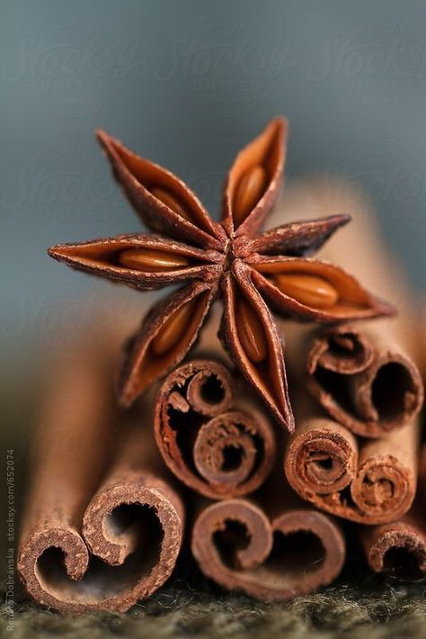 Raw Thai spices. Autumn Spices, Spices Photography, Thai Spices, Food Photography Inspiration, Foto Tips, Spices And Herbs, Star Anise, Food Photography Styling, Trik Fotografi