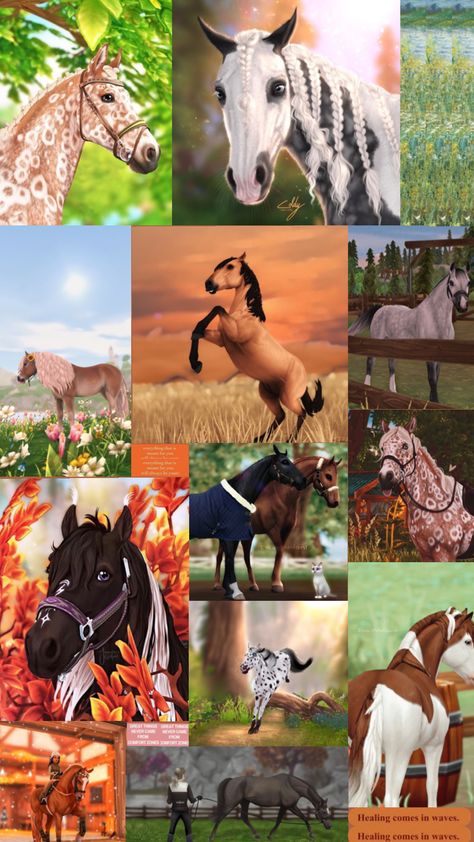 #pferde #sso #starstableonline #game #editedphotos Star Stable Horses, Equine Artwork, Drawing Stars, Star Stable, Horse Names, Horse Drawing, Ranch Life, Horse Jumping, Pretty Horses