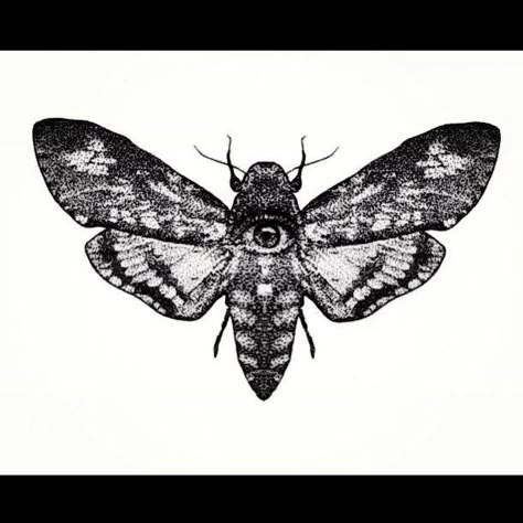 Moth With Eyes Tattoo Design, Moth Tattoo Eyes, Moth With Eyes Tattoo, Butterfly With Eyes Tattoo, Front Neck Tattoo, Moth Tattoos, Inspo For Drawing, Patch Sleeve, 9 Tattoo