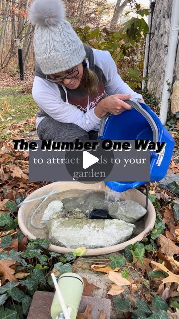 🌸 Mary Ann ~ Seasonal Home & Garden Tips. on Instagram: "7️⃣ Steps HERE 👇🏻
.
🕊 The number one way to attract birds to your garden is… WATER!! 
.
🕊 If you LOVE watching backyard birds while you are gardening you want to do this:
.
*️⃣ Steps to creating a backyard bird bath with smart camera:
.
1️⃣ Location.
.
🕊A spot in your garden with good cover from predators and a good lookout spot for the birds to evaluate the bird bath. It also has to be close to an outdoor outlet. 
.
2️⃣ A large tray:
.
🕊 Large enough and deep enough for the pump and slate/rocks.
.
3️⃣ Pieces of slate & rocks:
.
🕊You need 2 large pieces of slate, each resembling a semicircle. Both need to be different thicknesses to offer a deep and shallow end for your birds. 
.
🕊 The deeper end is for larger birds like rob Bird Bath With Rocks, Natural Bird Bath, Diy Bird Waterer, Diy Cement Bird Bath, Bird Baths In Garden, Homemade Bird Bath, Bird Bath Ideas Landscaping, Bird Bath In Garden, Bird Area In Backyard