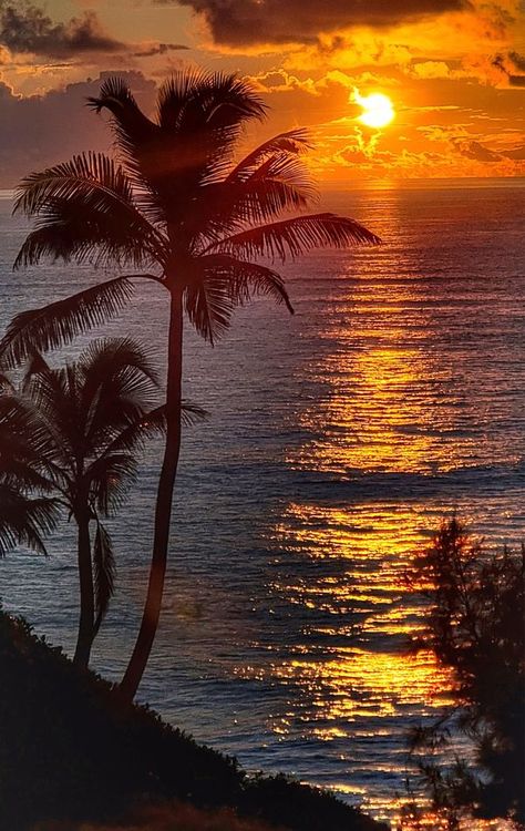 Barbados Photographic Society | Sunrise this morning | Facebook Beach Scenes, Barbados, This Morning, Photography