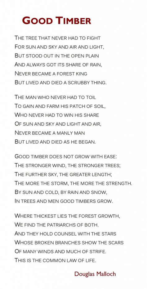 good timber poem by douglas Malloch | climbing up the polka dot tree Gratitude Poems, Tree Poem, Inspirational Poems, Life Is Hard, Poetry Quotes, Great Quotes, Inspire Me, Words Quotes, Climbing