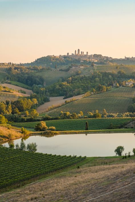 Tuscan Landscaping, Toscana Italia, Famous Landmarks, Tuscany Italy, Zeppelin, Heritage Site, Land Scape, Nature Photos, Verona