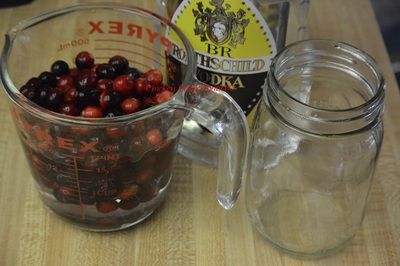 Cranberry Tincture Recipe, Cranberry Tincture, Tinctures Recipes, Bro And Sis, Cranberry Extract, Sugared Cranberries, Food Canning, Herbal Tinctures, Natural Healing Remedies