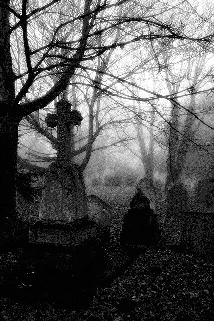 Through the veil Gothic Graveyard Aesthetic, Graveyard Goth Aesthetic, Dark Cathedral, Creepy Castle Aesthetic, Goth Cemetery Aesthetic, Wallpaper Gothic, Goth Cathedral Aesthetic, Dark Music, Goth Gifts