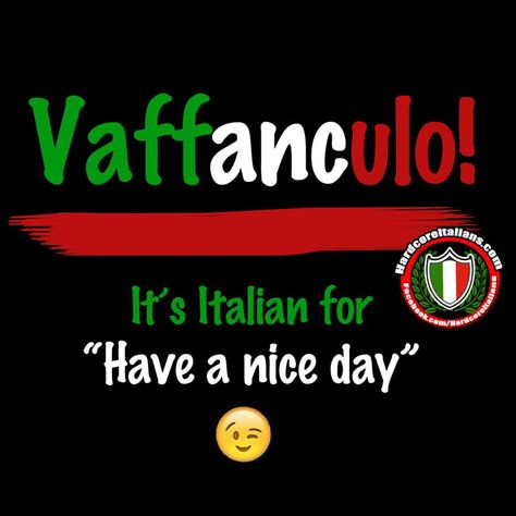 Just say it with a smile! taken from Hardcore Italians. Informative Quotes, Mexican Store, Italian Things, Italian Sayings, Perfect Sayings, Italian History, Italian Stallion, Italian Memes, Viking Quotes