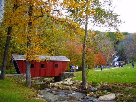 Kent Ct, Salem Ma, Leaf Peeping, New England Fall, Female Travel, South America, Day Trips, Travel Blogger, Autumn Leaves