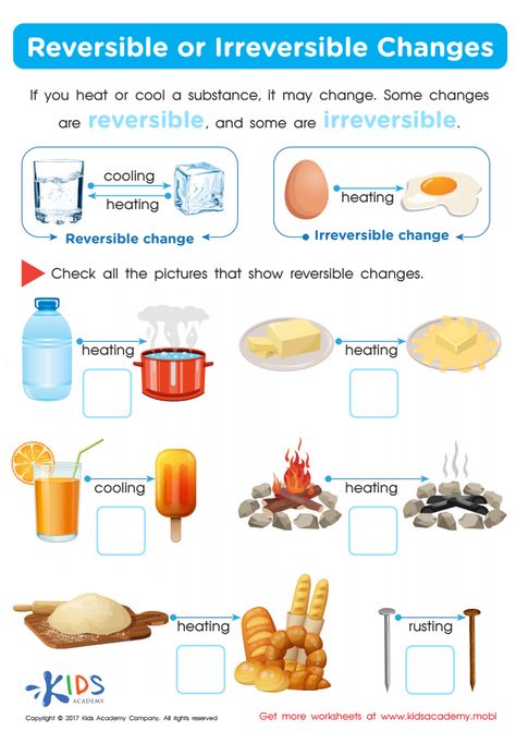 Reversible And Irreversible Worksheet, Changing Materials Science Worksheet, Reversible And Irreversible Changes, Change Worksheet, Changes In Matter, Human Body Worksheets, Chemical And Physical Changes, Matter Worksheets, Counting Practice