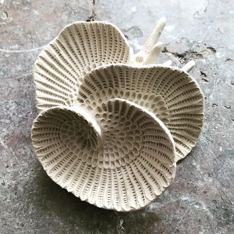 Lisa Seaurchin on Instagram: “1/100 for a new #the100dayproject Lots to catch up on! I’m starting a new 100 day project focussing solely on these coral moon sculptures.…” Lisa Seaurchin, Coastal Ceramics, Coral Clay, Ocean Texture, Coral Jewellery, Shell Sculpture, Coral Sculpture, Organic Textures, Coral Art