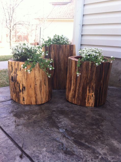 Garden Plant Care Tips for a Thriving Garden Design Wood Log Ideas For Garden, Crafts With Tree Stumps, Wood Log Planter, Log Flower Pot, Decorative Tree Stump Ideas, Diy Wood Stump Projects, Wood Stump Projects, Log Stump Ideas, Repurpose Tree Stump Ideas