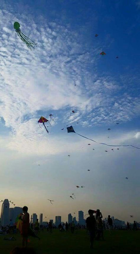 Kite The Kite Runner, Instagram My Story, Indian Aesthetic, Kites, Sky Aesthetic, Greek Mythology, Thailand, Natural Landmarks, Disney