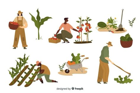 Young people working in agriculture Free... | Free Vector #Freepik #freevector #people #design #man #nature Human Vector, Plant Vector, Architecture Collage, Outdoors Tattoo, People Illustration, 그림 그리기, Animal Design, Architecture Art, Agriculture