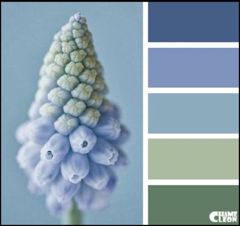 Pallete Color, Best Color Palettes, Color Concept, Color Schemes Colour Palettes, Color Palate, Design Seeds, Color Balance, Color Palette Design, Color My World