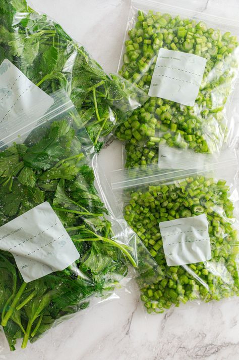 How to Freeze Celery - The Rooted Farmhouse | Gardening, Canning & Simple Living Canning Celery, Can You Freeze Celery, Freeze Celery, Homemade Lemonade Concentrate, Frozen Green Bean Recipes, How To Freeze Celery, Lemonade Concentrate Recipe, Homemade Apple Juice, Celery Leaves