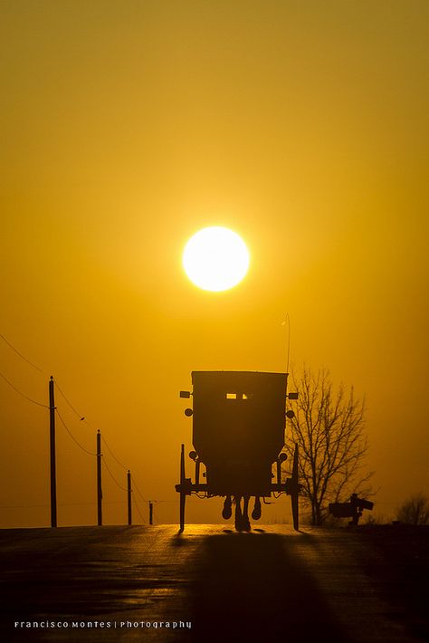 Amish buggy in the glow Shipshewana Indiana, Amish Country Ohio, Amish Buggy, Amish Living, Amish Culture, Amish Life, Amish Farm, Plain People, Amish Community