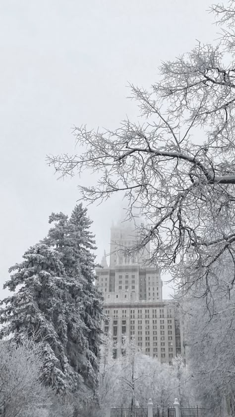 Nyc Winter Aesthetic, Snowy Nyc, New York Girl, Winter Moodboard, Winter Board, Nyc Winter, Sutton Place, Empire State Of Mind, Snow Angel