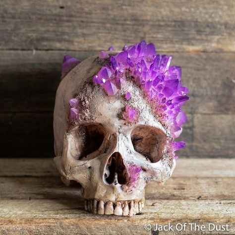 Skull Reference, Skull Decor, Human Skull, A Skull, 판타지 아트, Crystal Skull, Skull And Bones, Skull Art, Sugar Skull