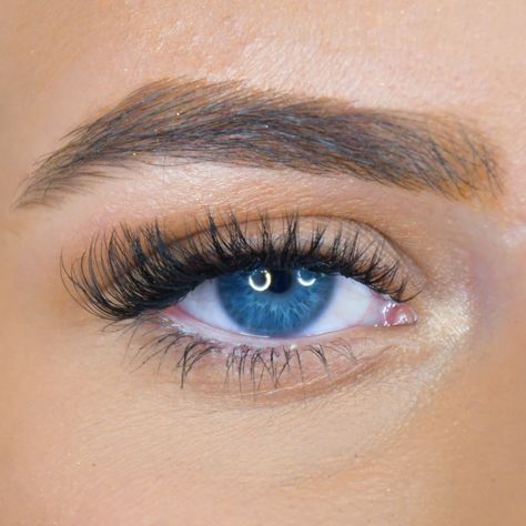 #Blue_Eyes_Eyelash_Extensions #Hybrid_Lash_Extensions_Blue_Eyes #Eyelash_Extensions_Blue_Eyes #Lash_Strips Blue Eyes Eyelash Extensions, Hybrid Lash Extensions Blue Eyes, Beach Wedding Makeup, Natural Fake Eyelashes, Lash Extentions, Art Nouveau Weddings, Lash Style, Eyelash Extensions Styles, Natural Eyelash Extensions