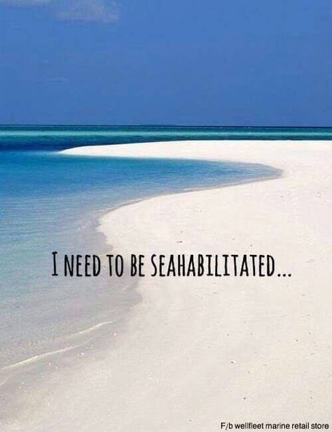 I need to be seahabilitated... Ocean Quotes, I Love The Beach, Beach Quotes, Beach Signs, Salt Life, Beach Living, E Card, Beach Time, Beach Bum