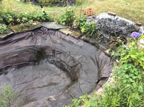 How To Make A Natural Pond, How To Make A Pond, Natural Ponds Backyard, Man Made Pond, House Pond, Cottage Yard, Diy Ponds Backyard, Backyard Drainage, Pond Construction